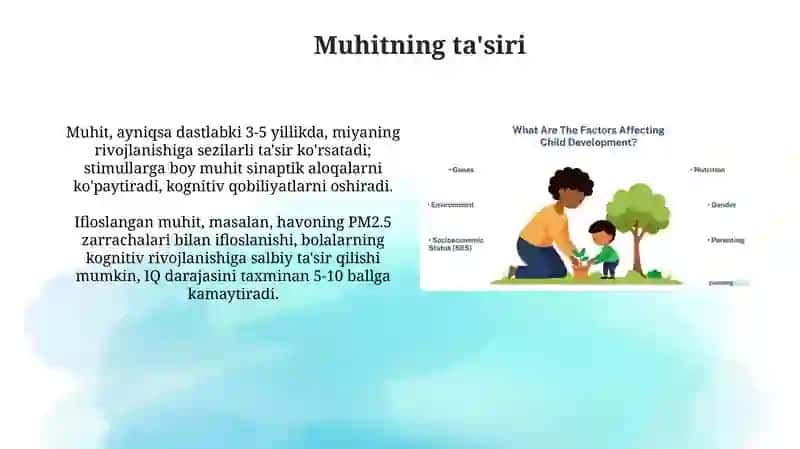 Qobiliyat rivojlanishiga taʼsir qiluvchi omillar 4