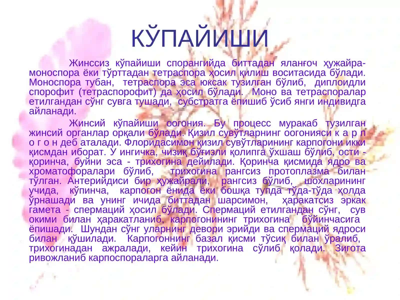 Қизил сувўтларининг умумий тавсифи 4