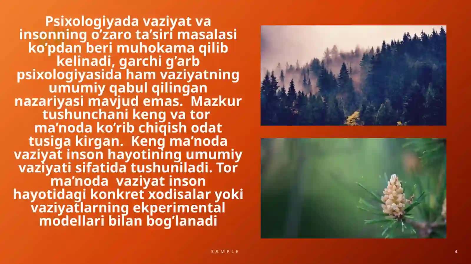 Ekstremal vaziyatlarda psixologik xizmat prezentatsiya 4