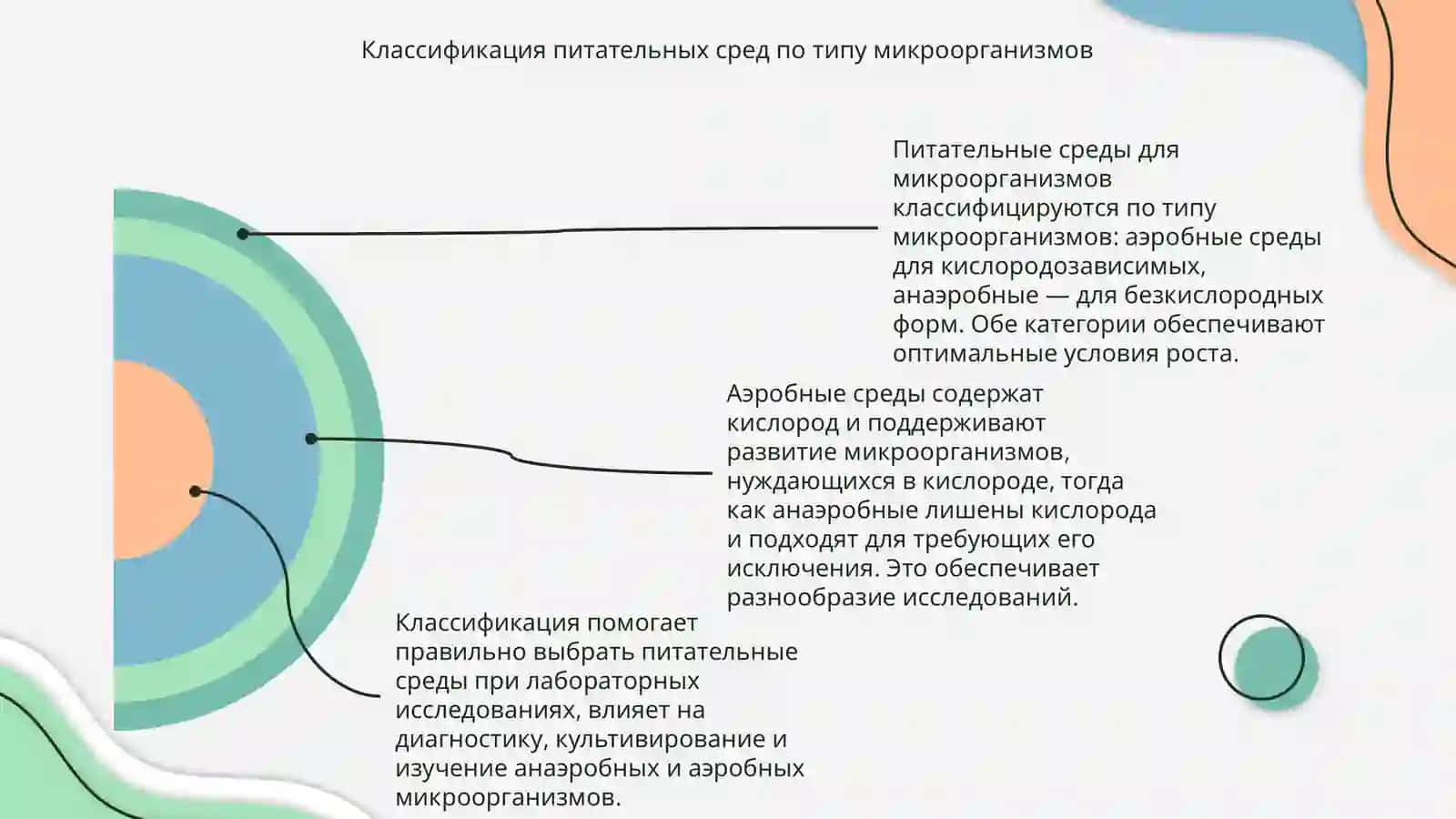 Питательные среды у аэробных и анаэробных микроорганизмов по предмету микробиологии 4