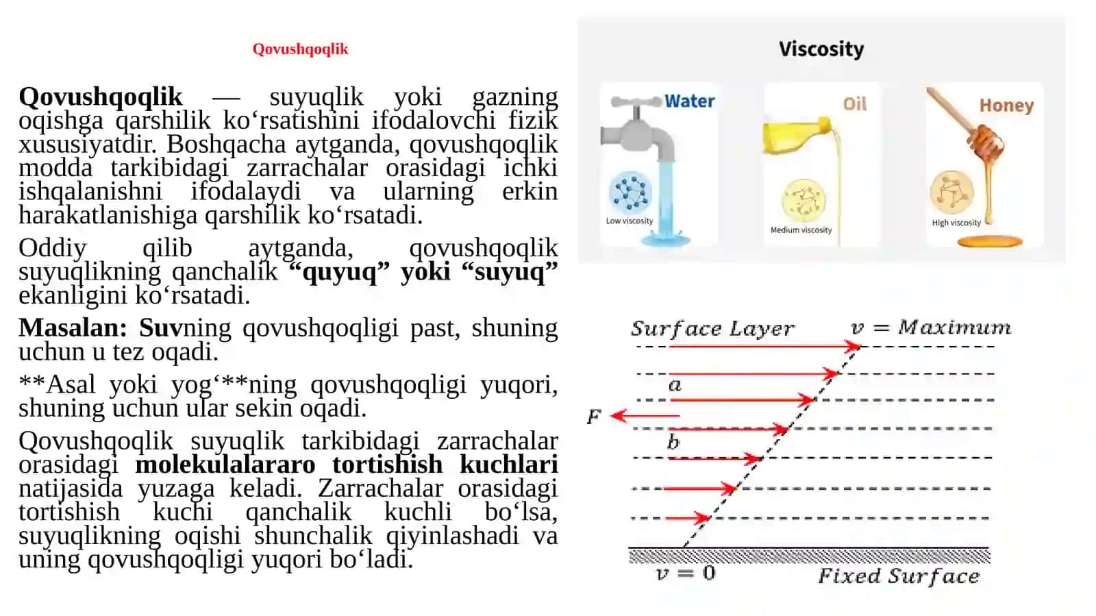 Gemodinamika. Yurak Faoliyatining Fizikaviy Asoslari 4