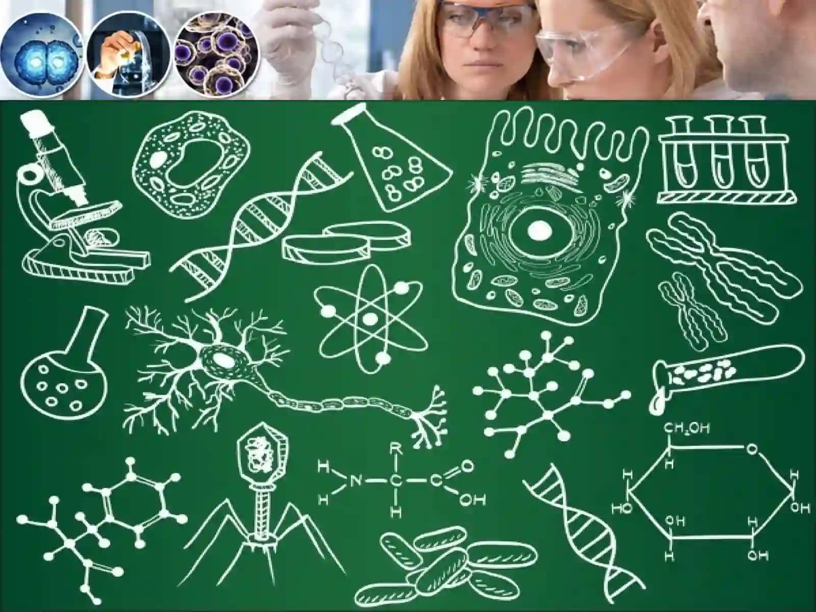 Biologiya darsida noan’anaviy usullarni qo’llash metodlari 4