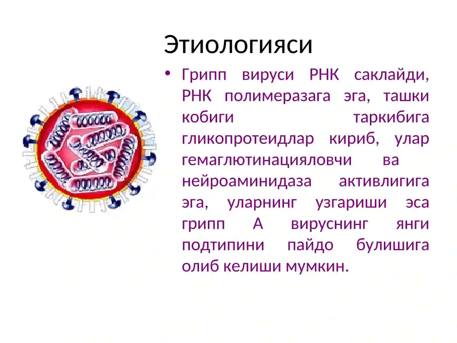 Грипп ва бошқа ўткир респиратор вирусли касалликлар 4