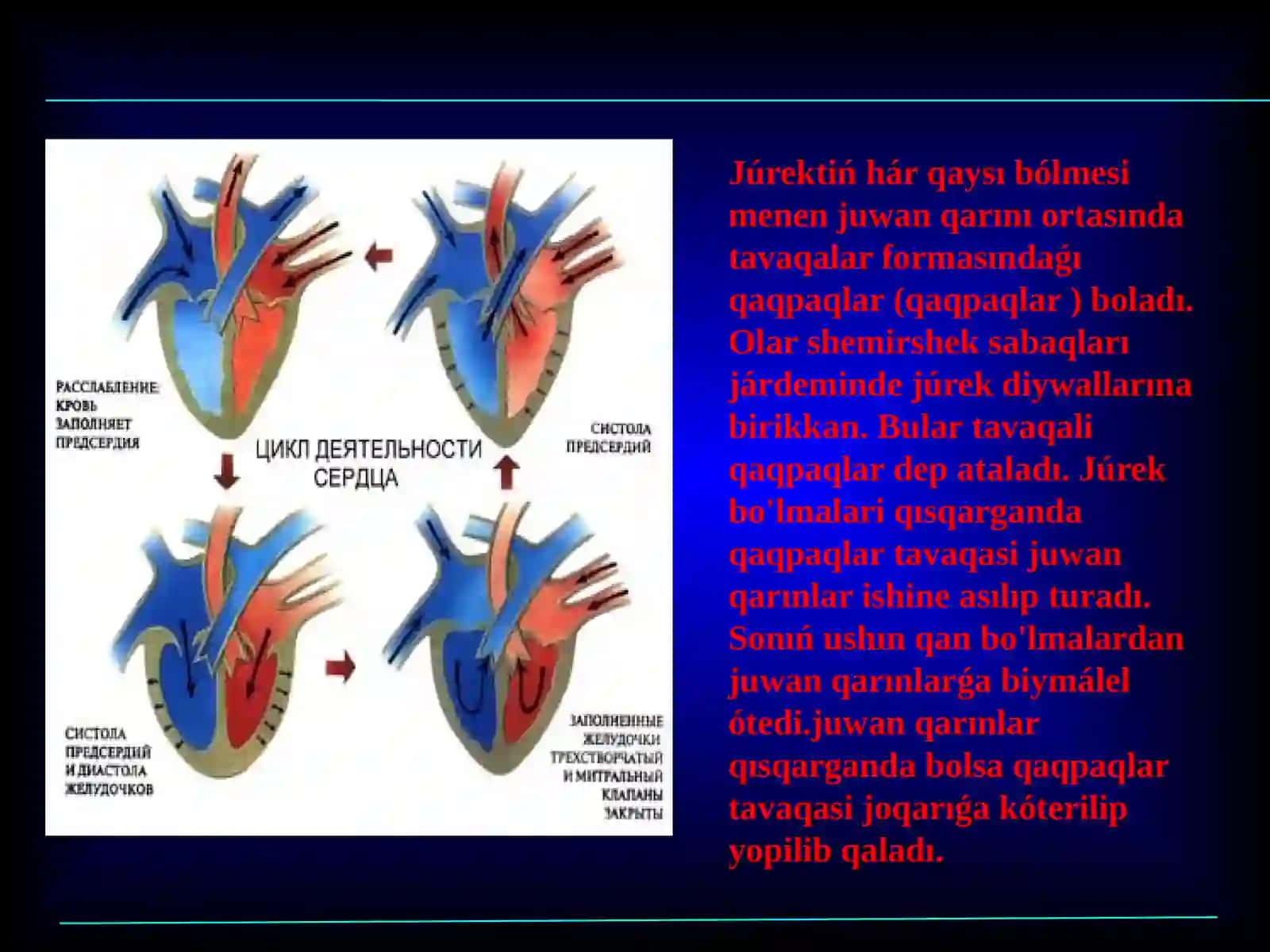 JUREK 4