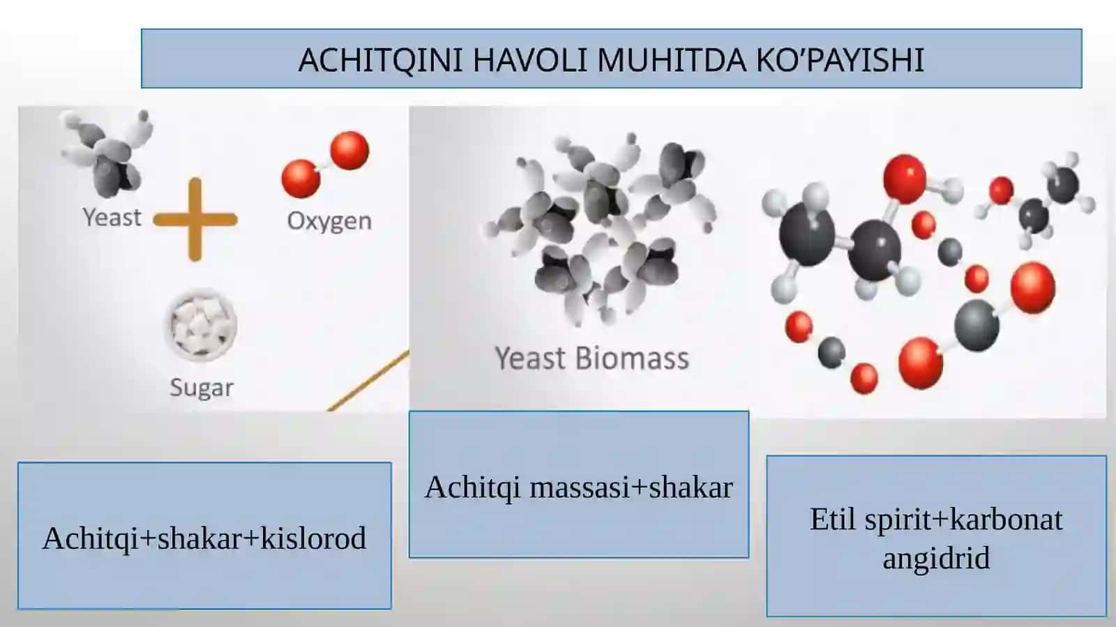 XAMIRNI YETILTIRUVCHILAR 4