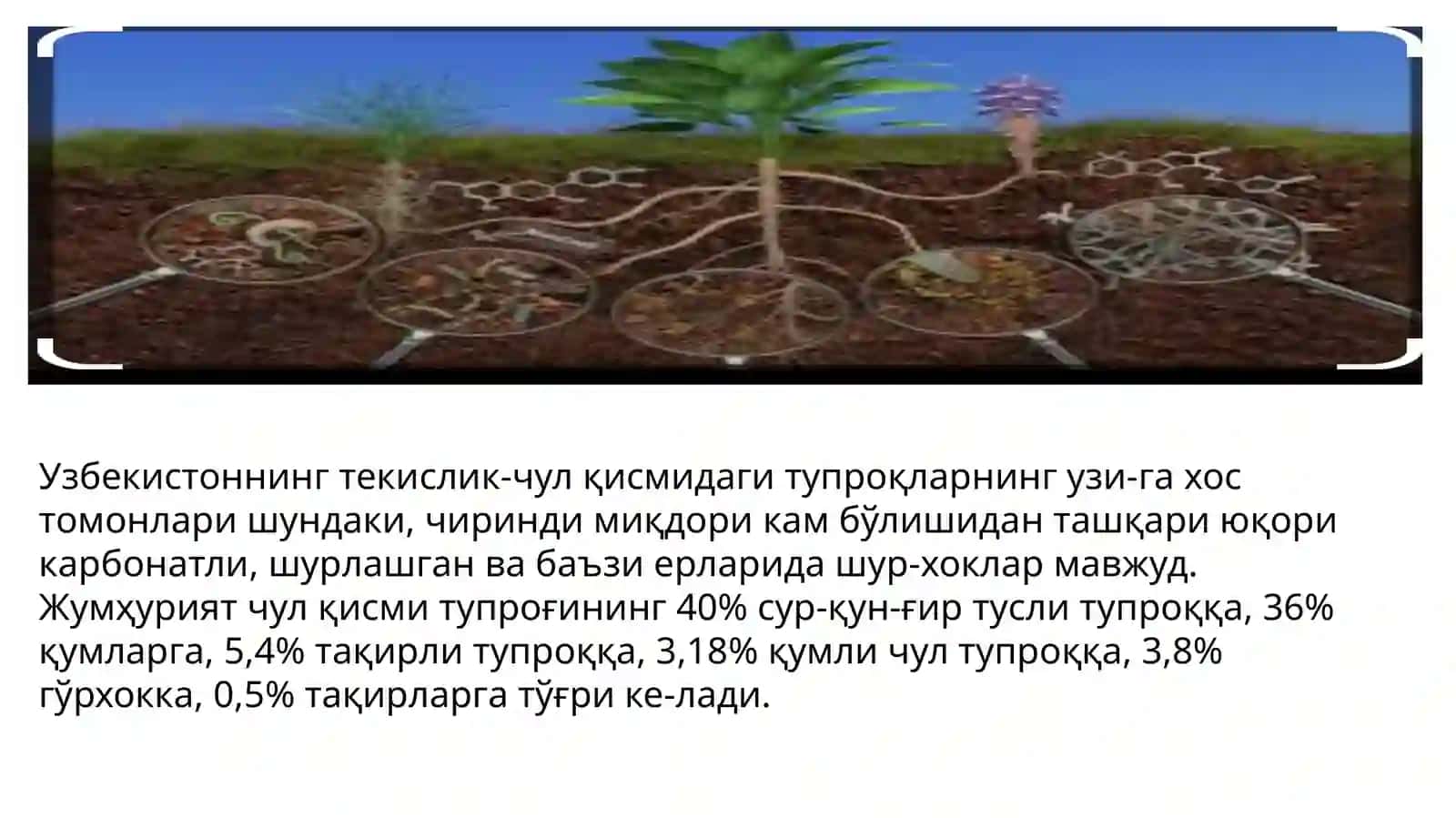 Tuproqlar 4