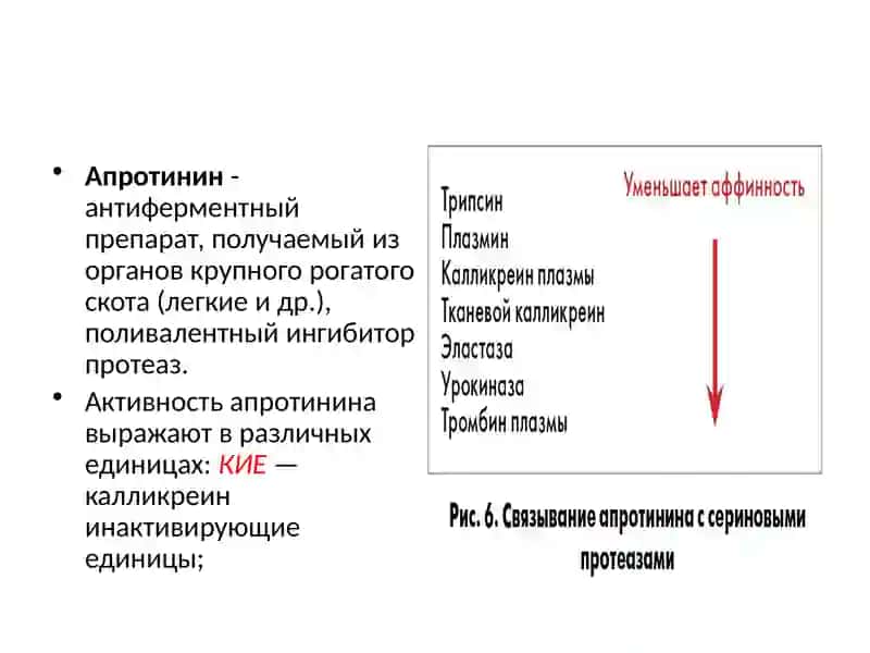 Ингибиторы протеаз 4