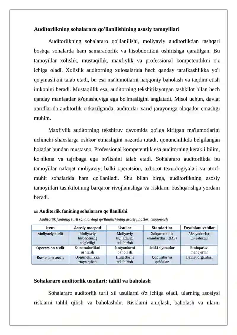 Auditorlik fanining sohalararo qo'llanilishi: asoslar, usullar va standartlar 4