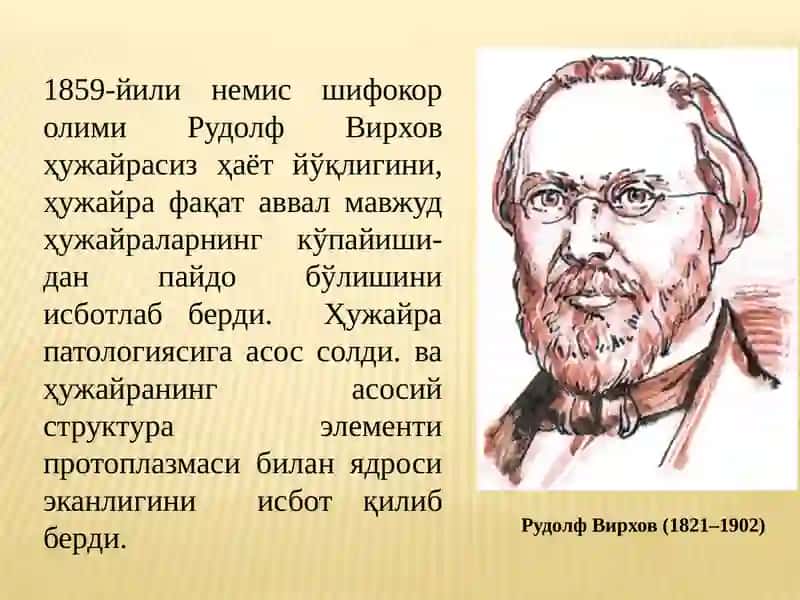 ҲУЖАЙРА НАЗАРИЯСИ, УНИНГ ШАКЛЛАРИ ВА ЭВОЛЮЦИЯСИ 4