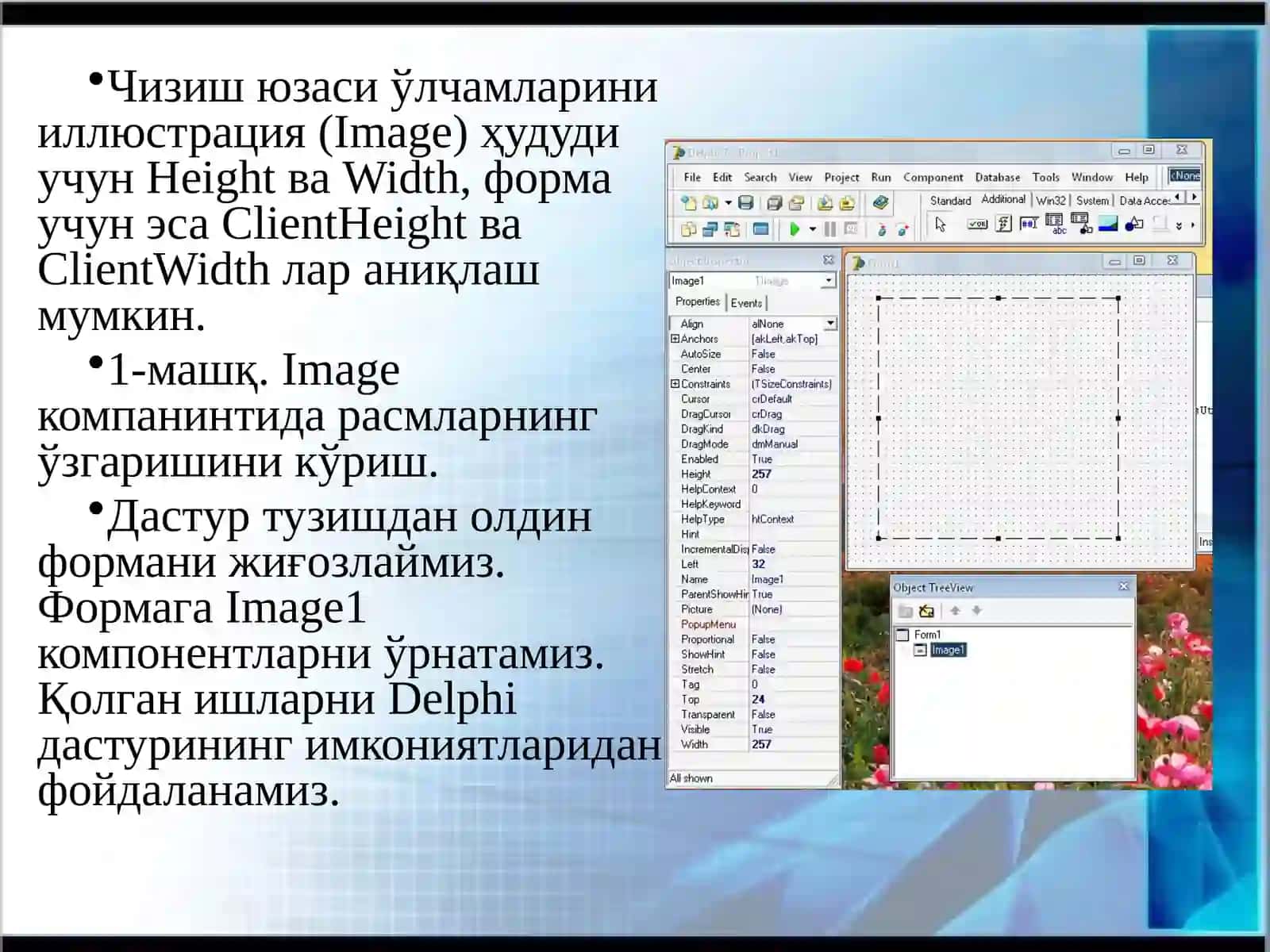 Delphiдастурлаштили 4