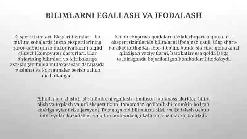 Mahsuliy (Produksiya) Ekspert Tizimi Yaratish. Suniy Intelekt Fanidan 4