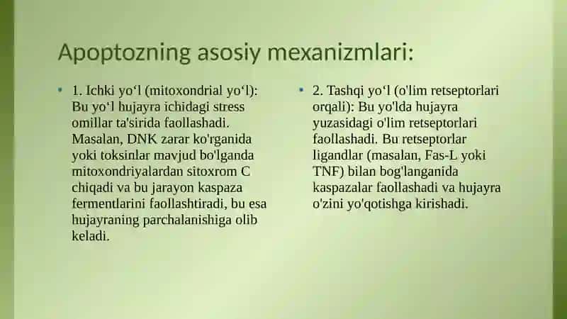 Apoptoz mexanizmlari 4