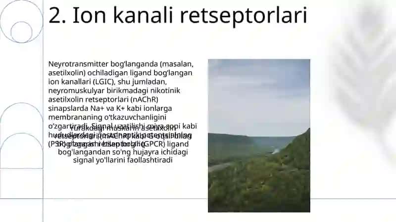 Signallarni membranalar orqali ótkazilishi 4