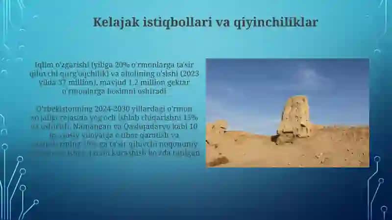 O'zbekistonning yog'och zaxiralarini o'rganish 4