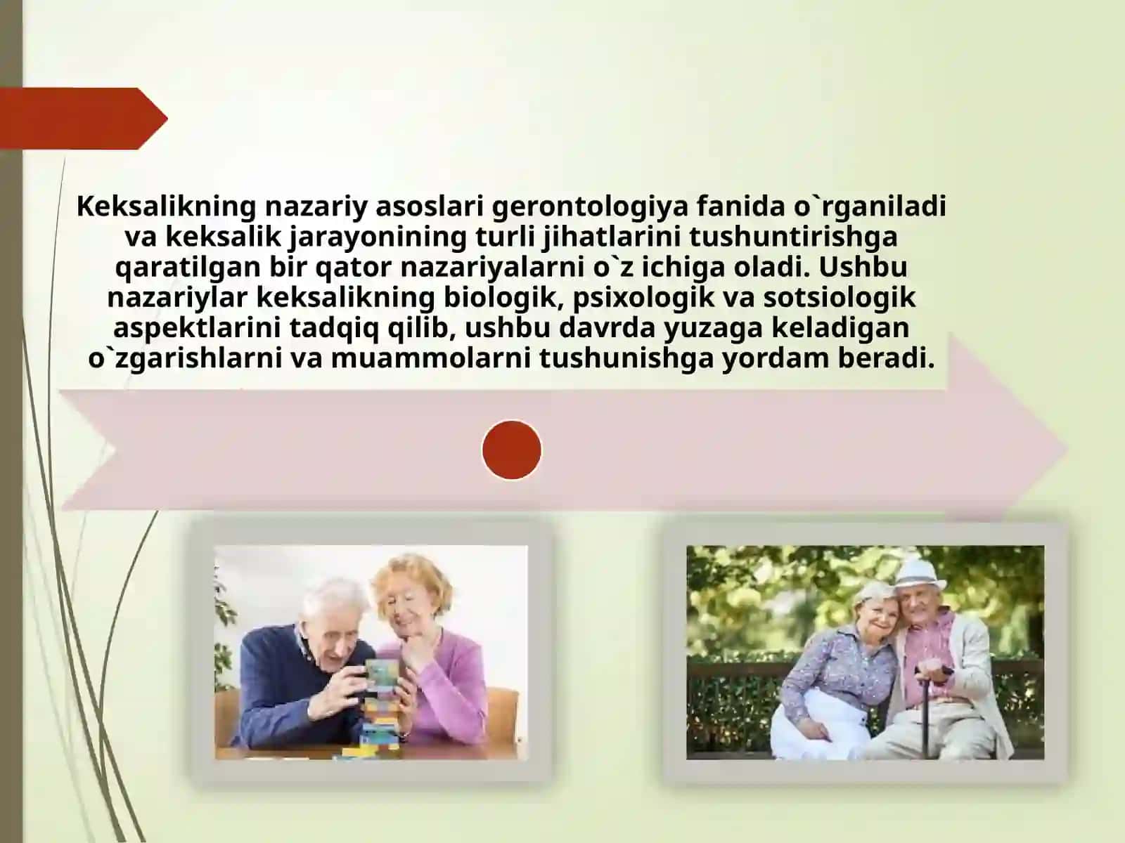 Inson hayotining keksalik haqidagi qarashlari. 4