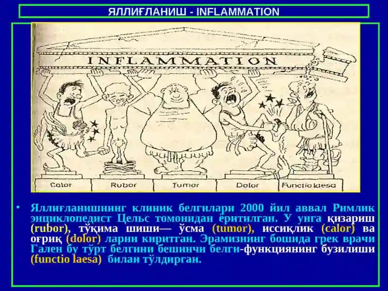 Яллиғланиш 4