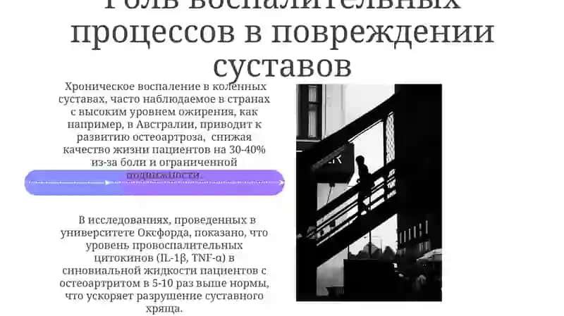 Влияние внешних и внутренних факторов на структуру сустава 4