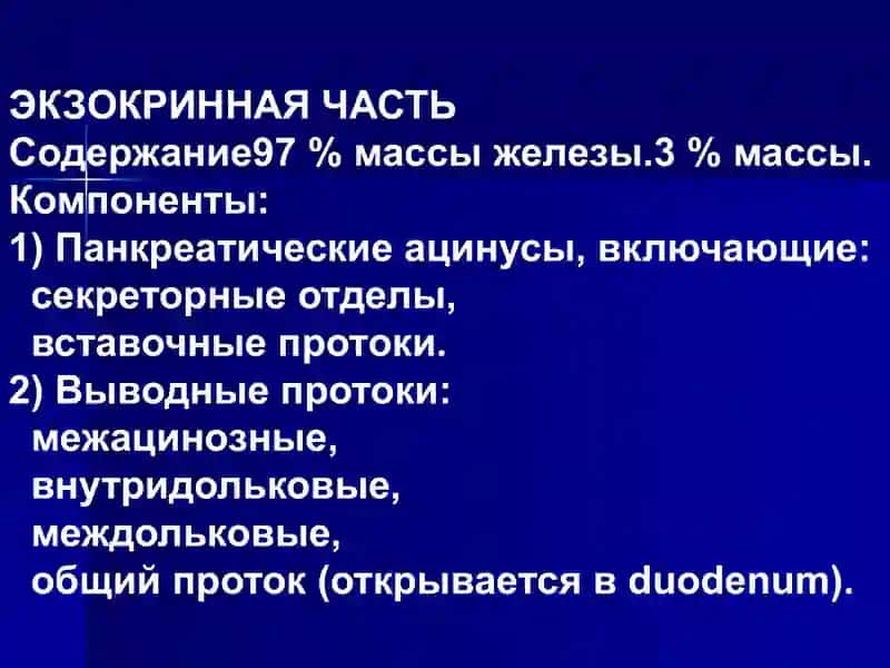 Поджелудочная железа 4