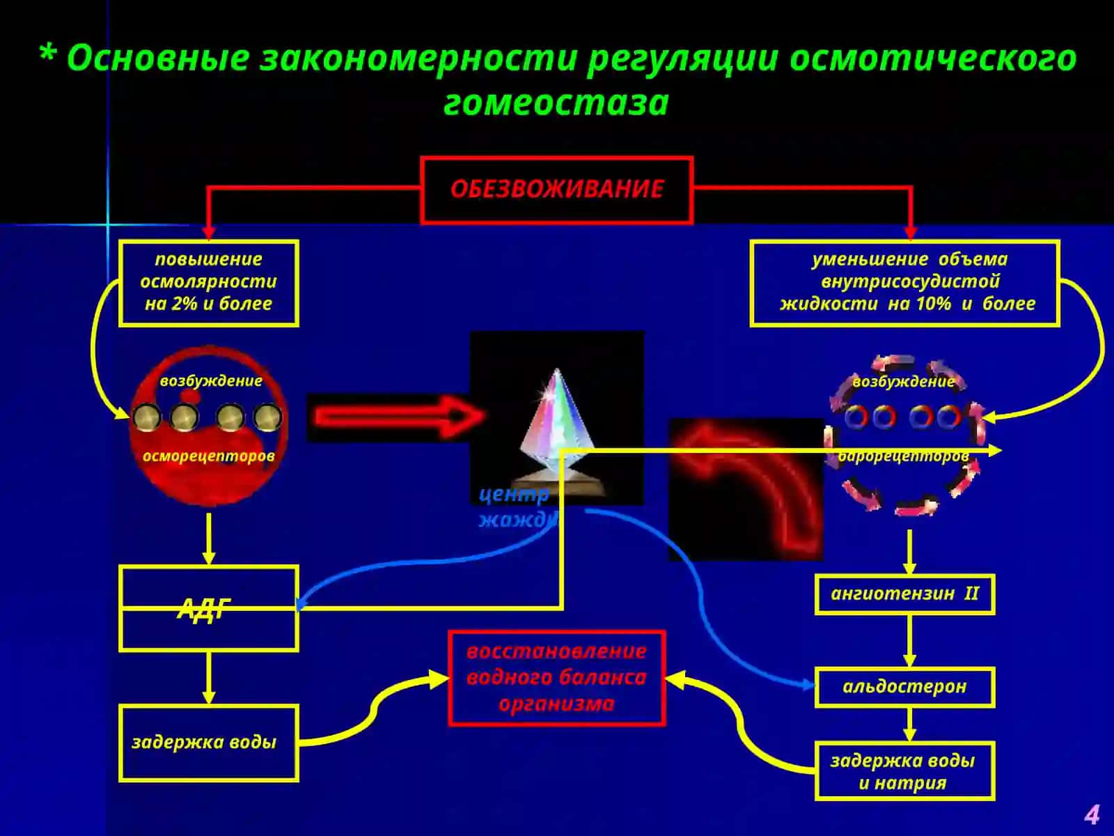 Патофизиология водно-солевого обмена 4