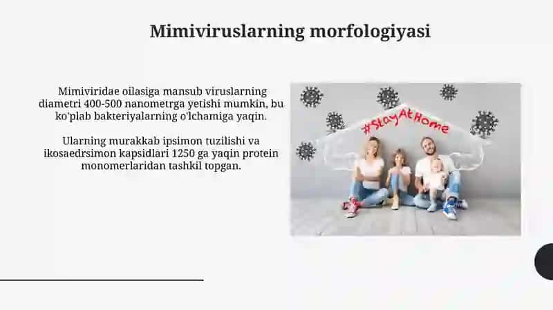 Mimiviridae oilasi (mimiviruslar) 4