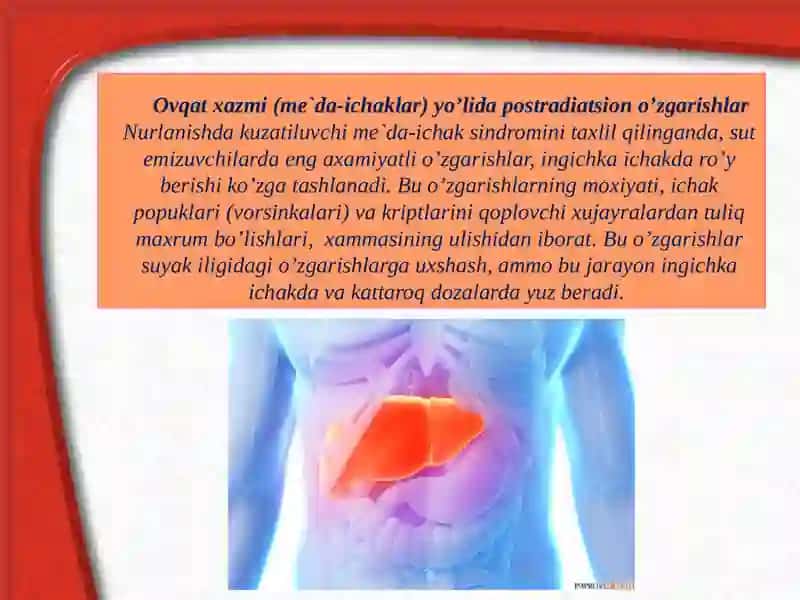 Organizmlar radiosezgirligi 4