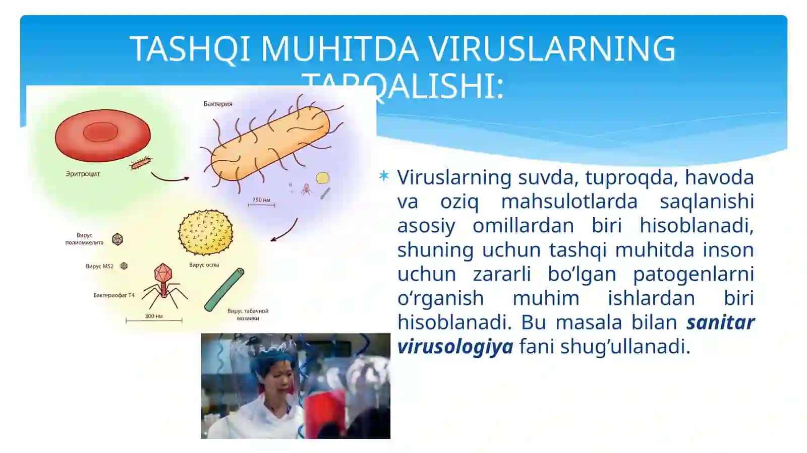 SANITAR VIRUSOLOGIYA 4