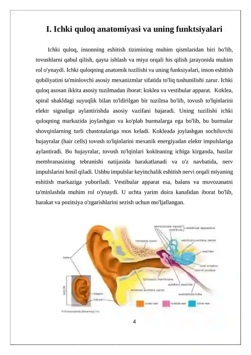 Ichki quloq tuzilishi. Tovush utqazish mexanizimi 4