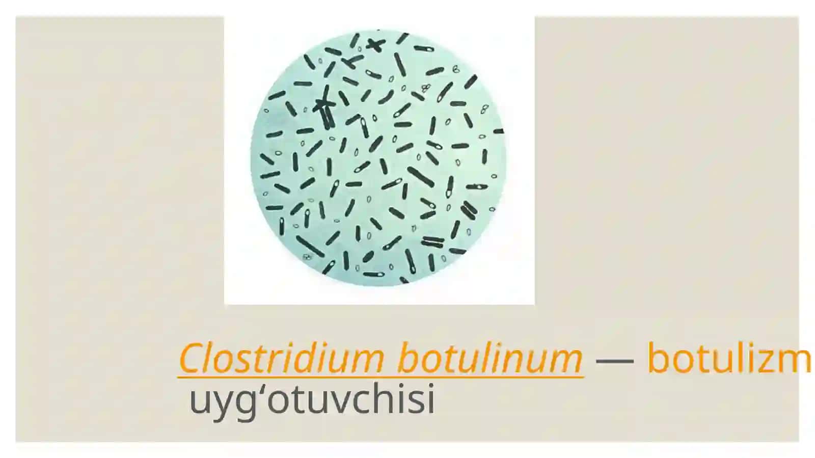 Mikroorganizmlar yordamida biomassadan energiya ishlab chiqarish 4