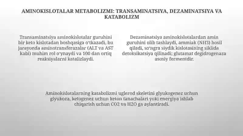 Oqsil Hazm 4