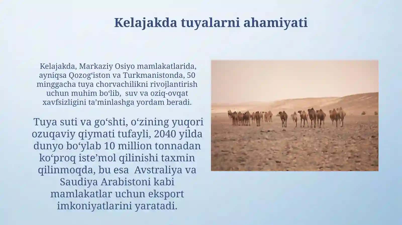 Tuyalar: Inson Hayotida Ahamiyati 4