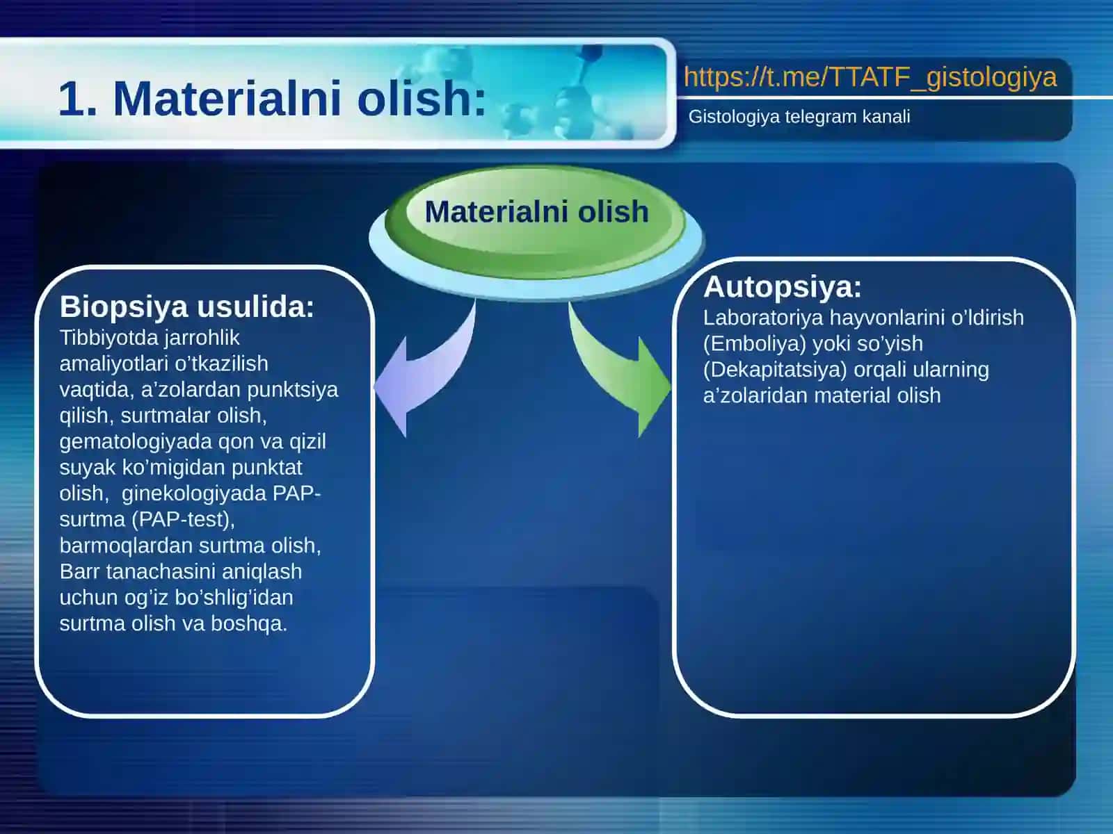 Gistologikpreparatlarnitayyorlashtexnikasi 4