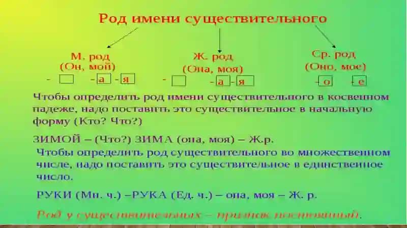Определение рода имен существительных по связи с другими частями речи. Использование «Метода соответствий» 4