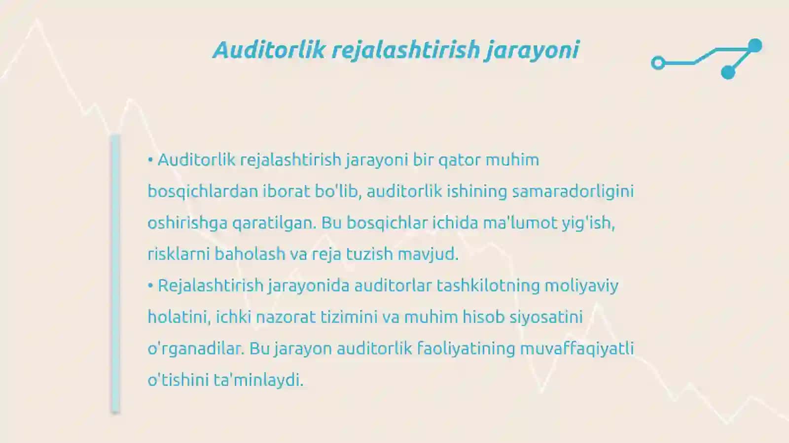 Auditorlik tekshiruvini rejalashtirish 4