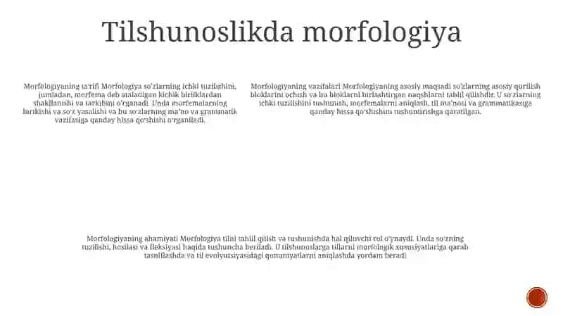 Morfologiya 4