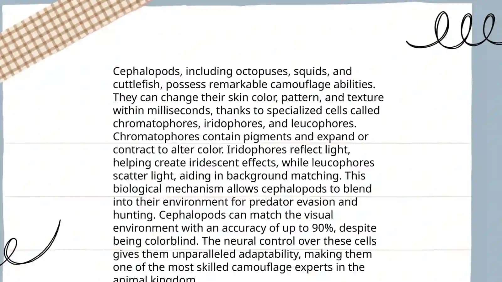 Echolocation in Bats 4