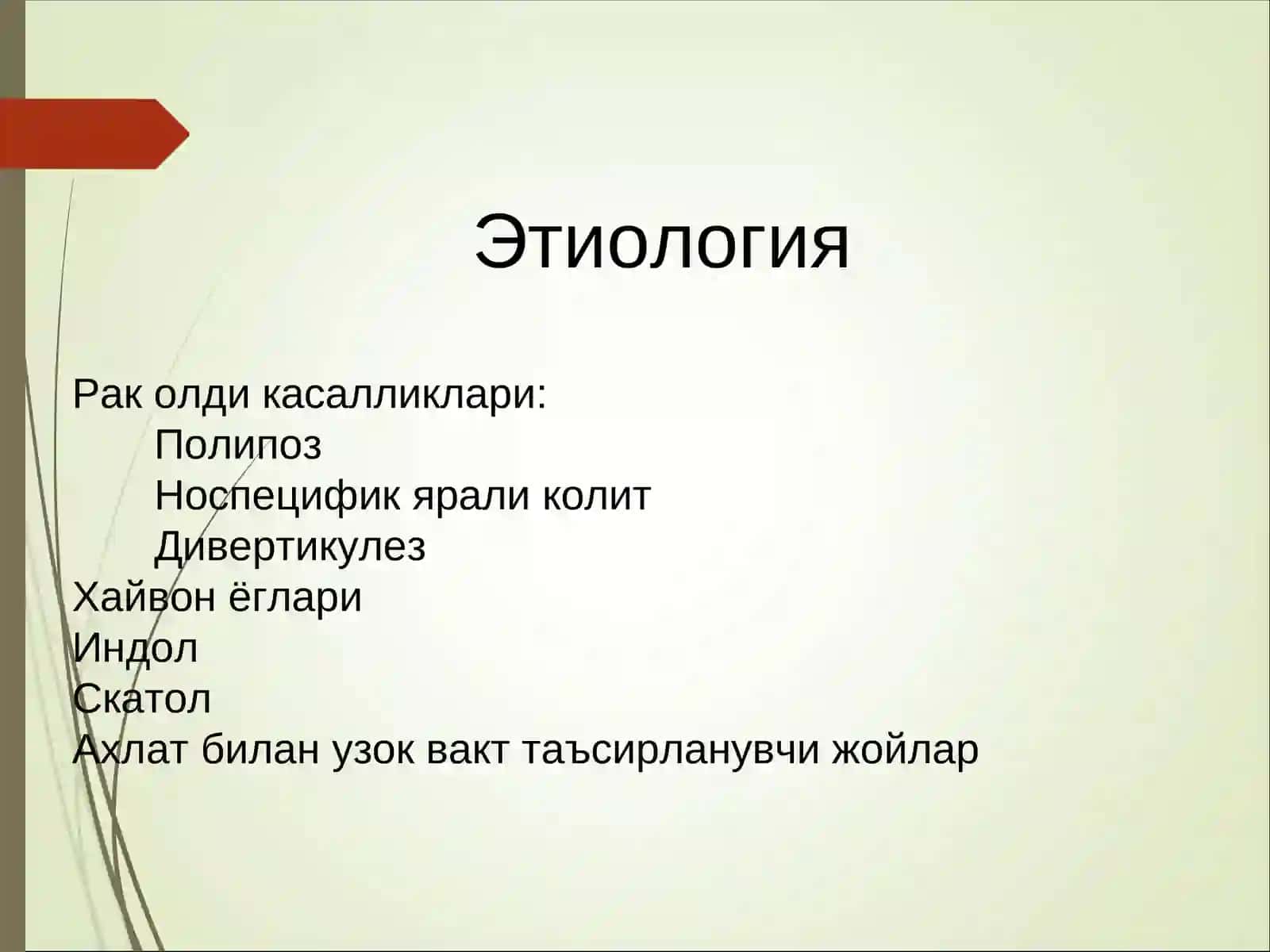 Тўғри ичак анатомияси 4