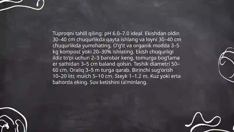 Meva koʻchatlariga shakl berish ularni parvarish qilish 4