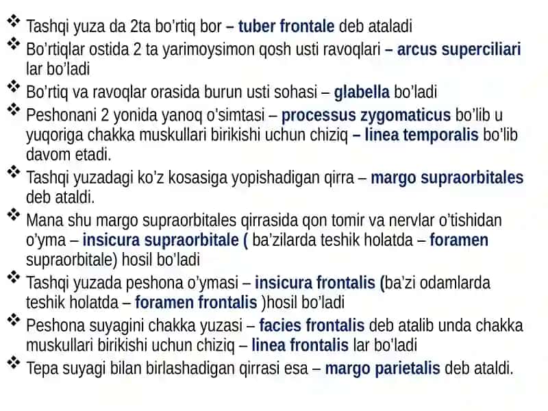 Peshonasuyagi–osfrontale 4