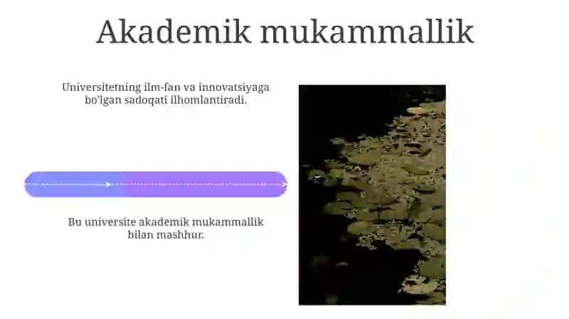 Universitet 4