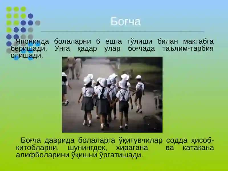 Япония таълим тизими 4