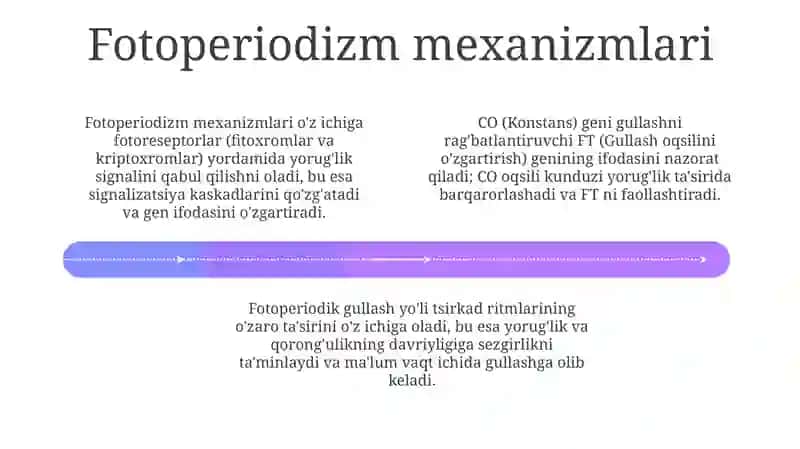Fotoperiodizm 4
