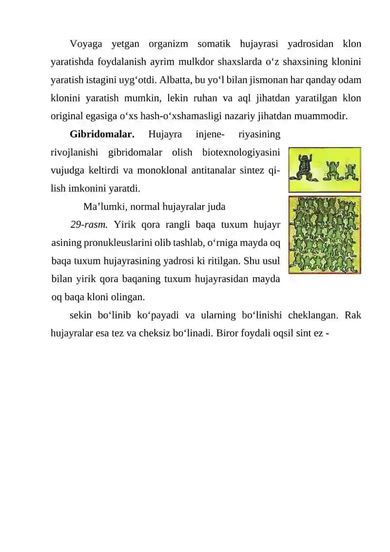 Gibridomalar texnologiyasi 4