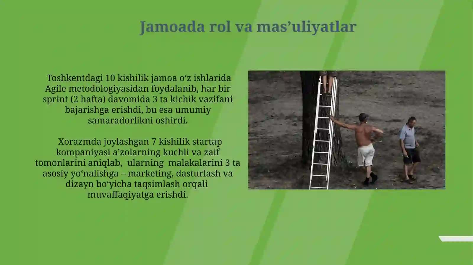 Jamoada ishlash (teamworking) va uning afzalliklari 4