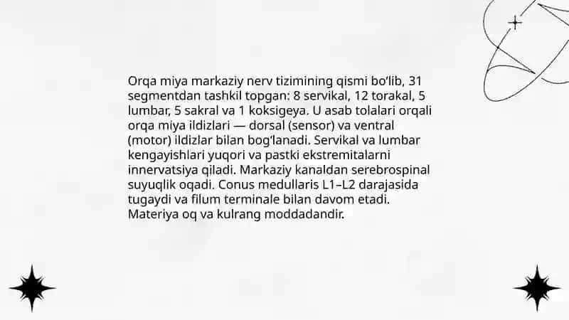 Bosh va orqa miya mavzusi 4