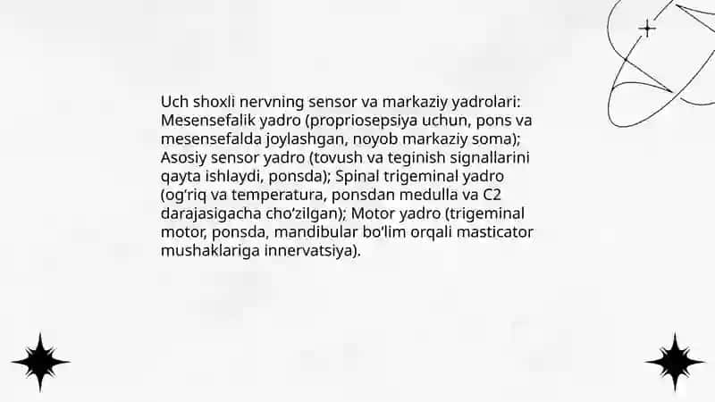 Uch shoxlik nerv 4
