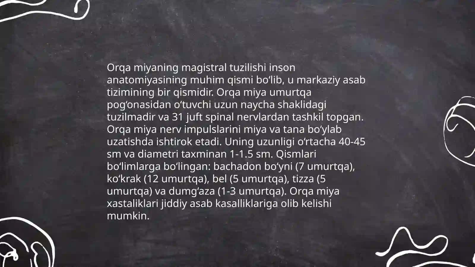 Orqa miyaning o'tkazuvchi yo'llarini o'rganish 4