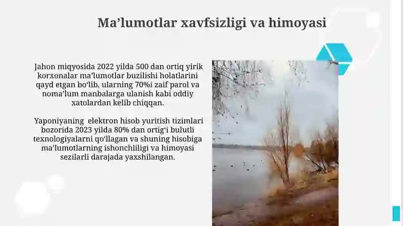 Axborot elektron dasturlarini qo'llab hisob yuritishni yuritish bo'yicha jahon tajribasi 4