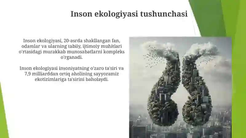 Inson ekologiyasi haqida tushuncha va ifloslantiruvchi omillarning turlari 4