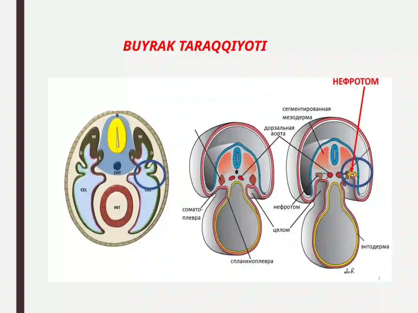 СИЙДИК АЙИРУВ СИСТЕМАСИ 4