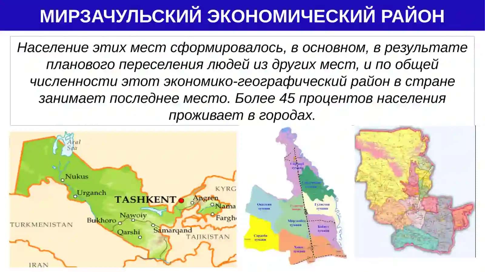Мирзачульский экономический район 4